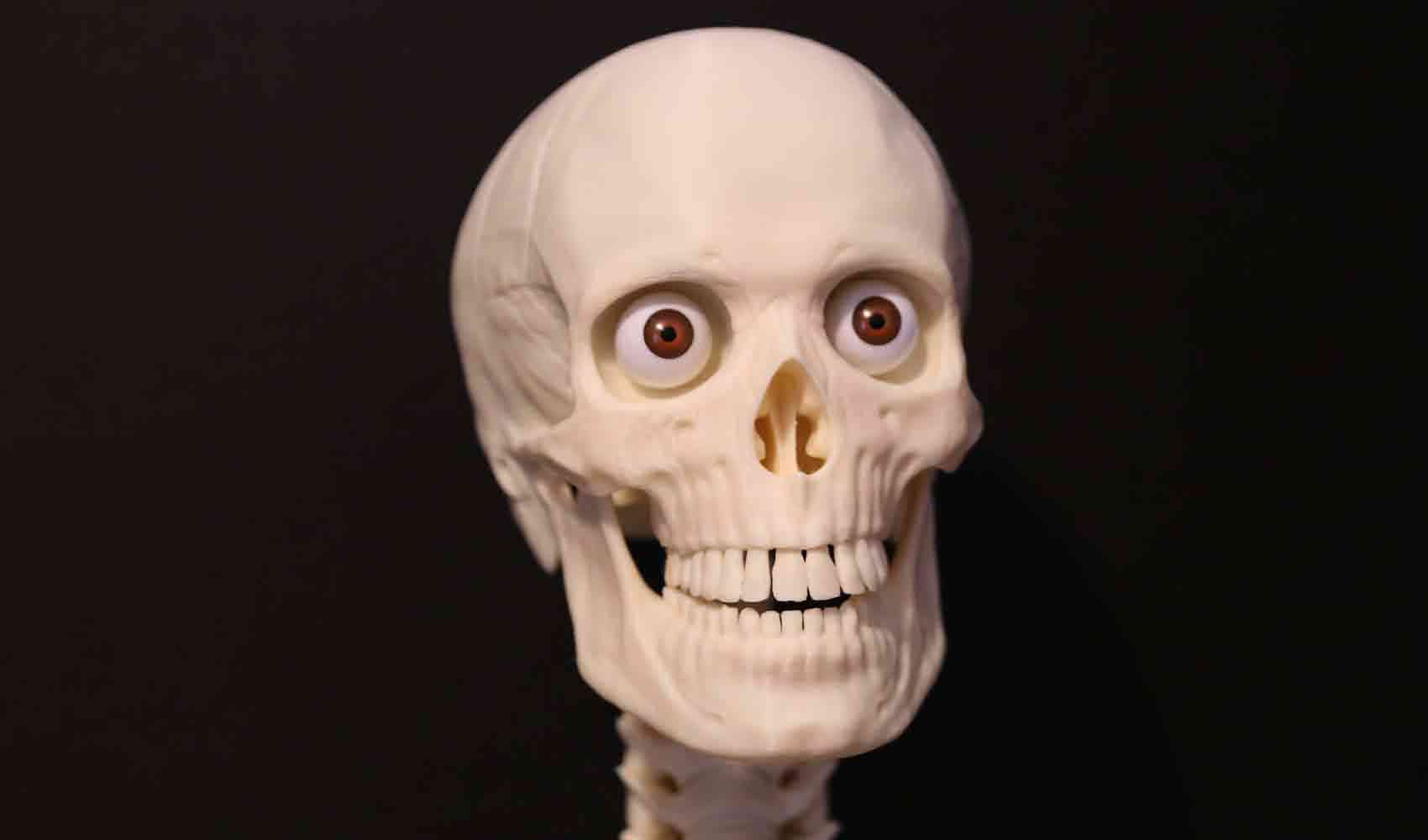 Skulls Skull Busines Card Holder Halloween Prop 